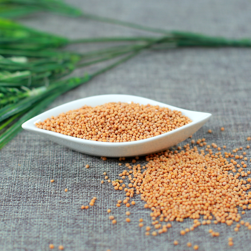 同仁堂白芥子500g克 白介子 辣菜子 芥菜子 白芥籽茶【图片 价格 品牌