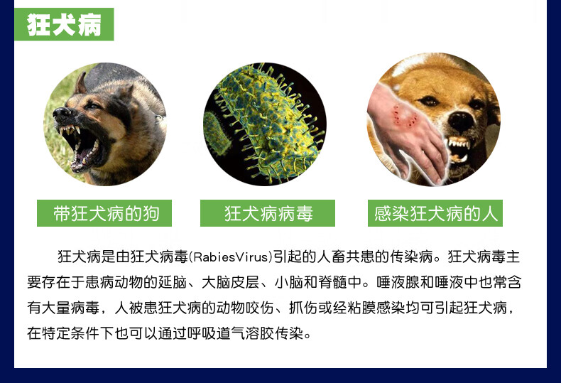 京健康犬病快速诊断卡犬细小检纸猫狗狂犬病纸犬瘟热病毒检测卡狂犬病