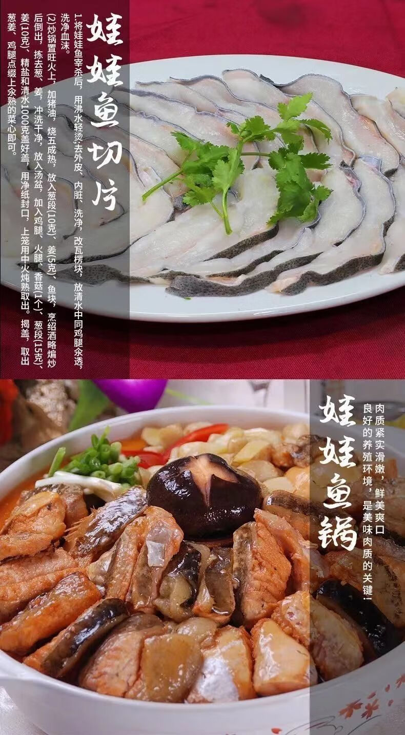 娃娃鱼活体食用大鲵鲜活各种规格淡水鱼类生鲜爱唯温妮27斤加菜谱