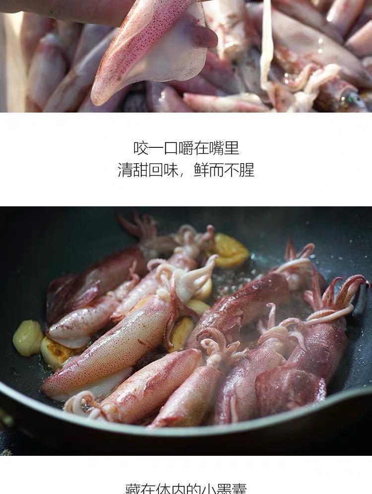 新鲜小海兔小管笔管鱼海鲜活冻水产海捕墨斗鱼二斤