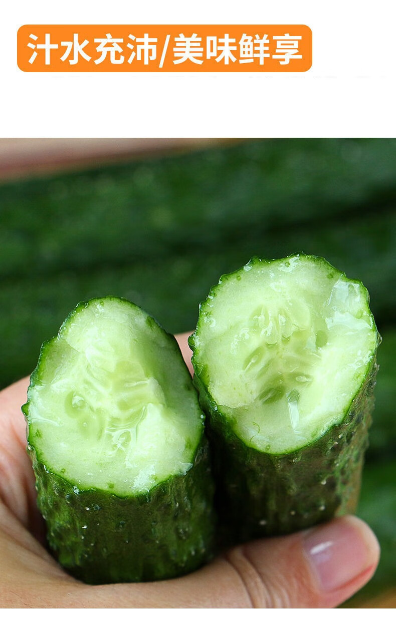 黄瓜蔬菜正宗高山新鲜刺黄瓜绿瓤生吃清脆可口农家现摘3斤装