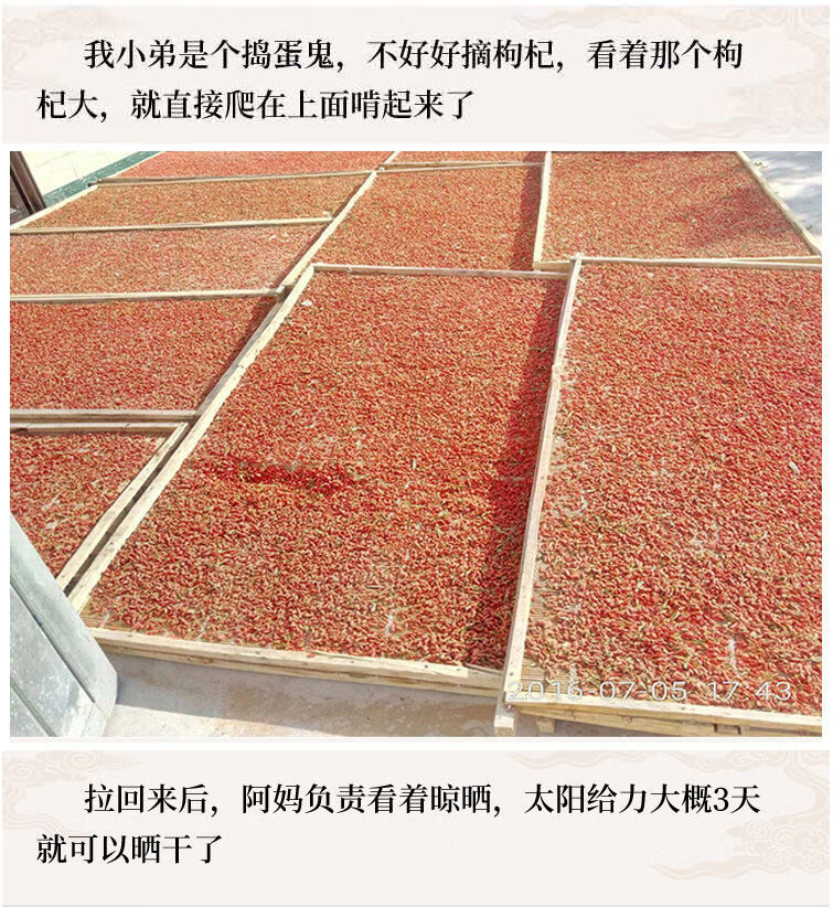 c7e92f722e7ae846.jpg