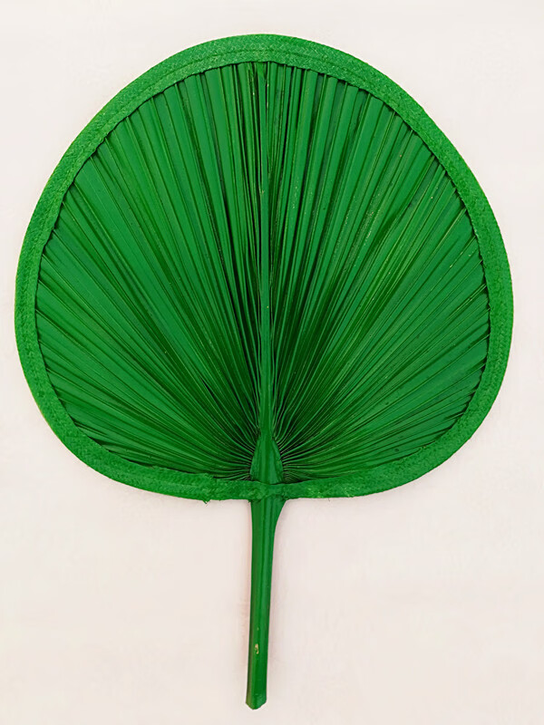 不浪漫先生 济公蒲扇酒吧蹦迪扇子大蒲扇芭蕉扇济公扇葵扇蒲草手工扇