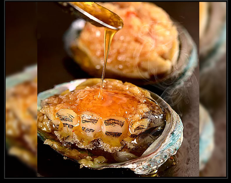 鲜活新鲜鲍鱼黄金鲍特大鲍鱼新鲜500g活体水产贝即食海鲜 【鲜活发货