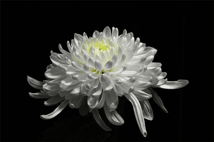 阙思芊蜡烛酥油灯白色悼念祭祀用品无烟蜡烛家用追思陵园上坟低温 2