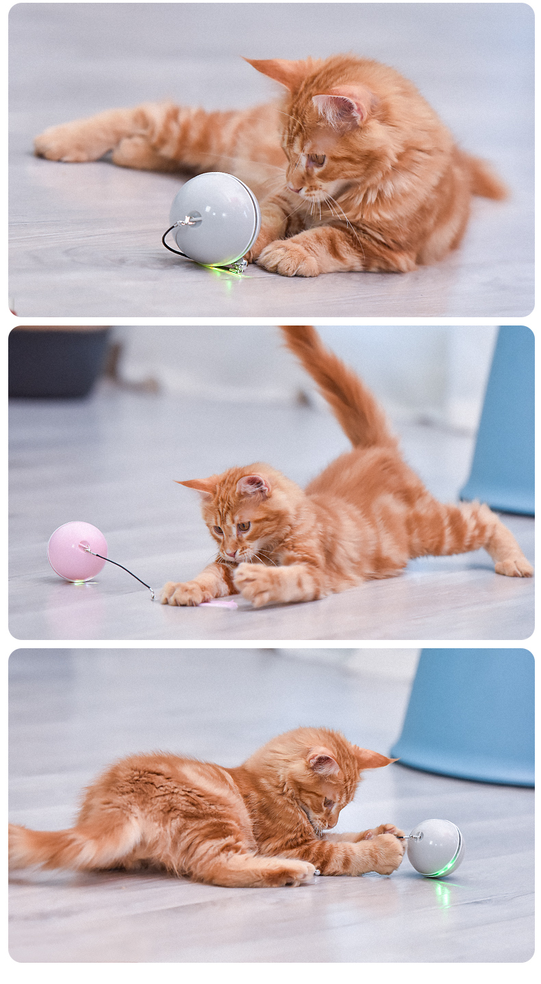 逗猫球猫咪逗猫棒猫咪玩具自动智能电动玩具球宠物猫用品 【电池款】