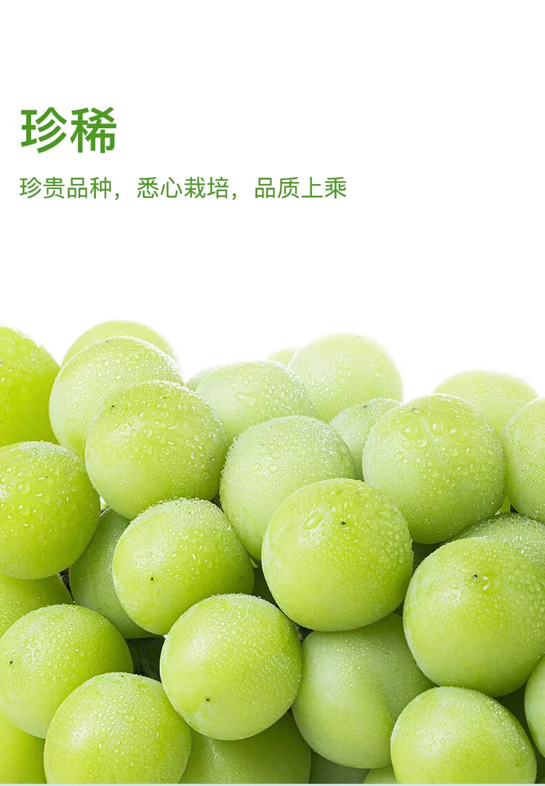 (顺丰空运/香甜无籽)湖北公安县阳光玫瑰葡萄 埠河镇晴王香印脆嫩鲜