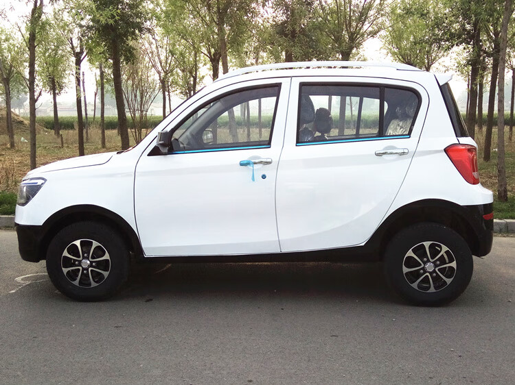 新款电动四轮轿车成人新能源汽车油电两用女性家用全封闭豪华代步车