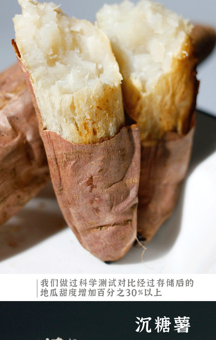 山东哈密冰糖薯新鲜超甜白心烤蜜薯箱薯空气炸锅山芋早餐地瓜 中果