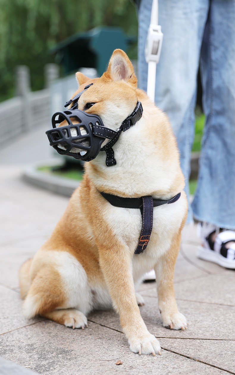 【京东推荐】防狗咬人罩乱叫吠头套狗狗咬人护套面罩杜宾嘴罩柴犬嘴套