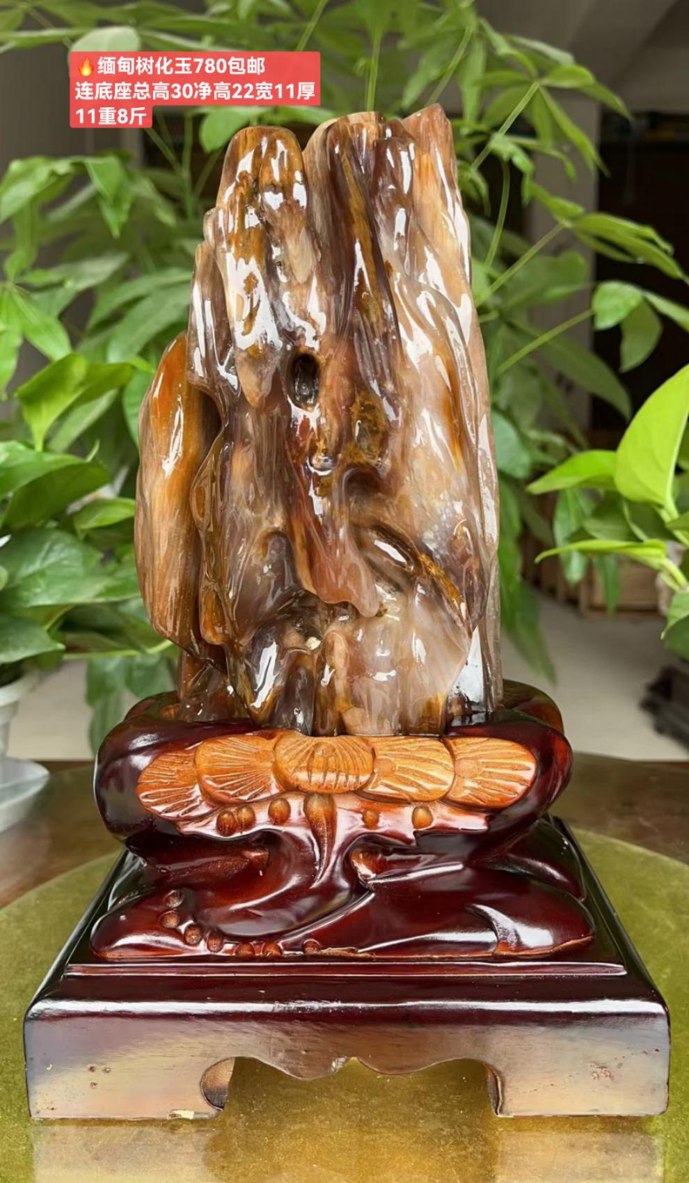 【京选品质】树化玉摆件 冰种缅甸木化玉桌面树化石奇石天然木化石树