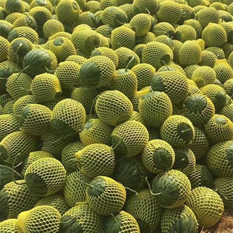 现摘现发富硒特小凤西瓜黄壤黄心沙瓤当季新鲜高端水果麒麟瓜 【尝鲜
