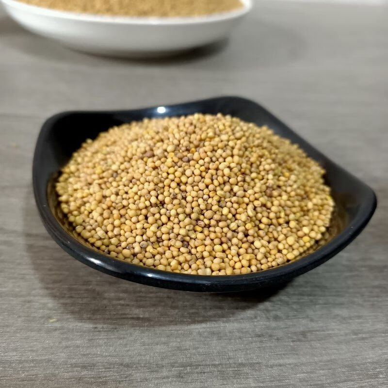 黄芥子500克中材黄芥末粉芥末种子野生芥末籽50克芥菜子辣菜籽黄芥子