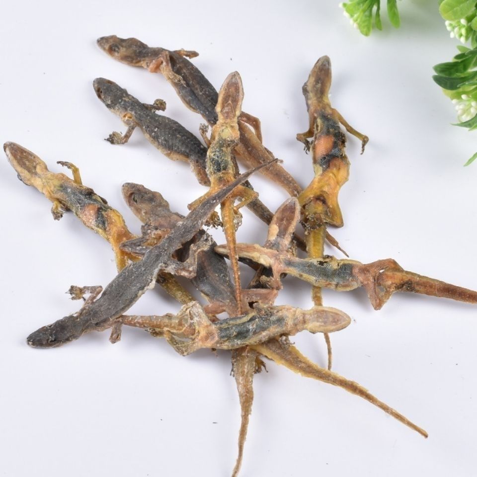 壁虎壁虎天龙国产壁虎干完整足够干可打粉50克壁虎50克