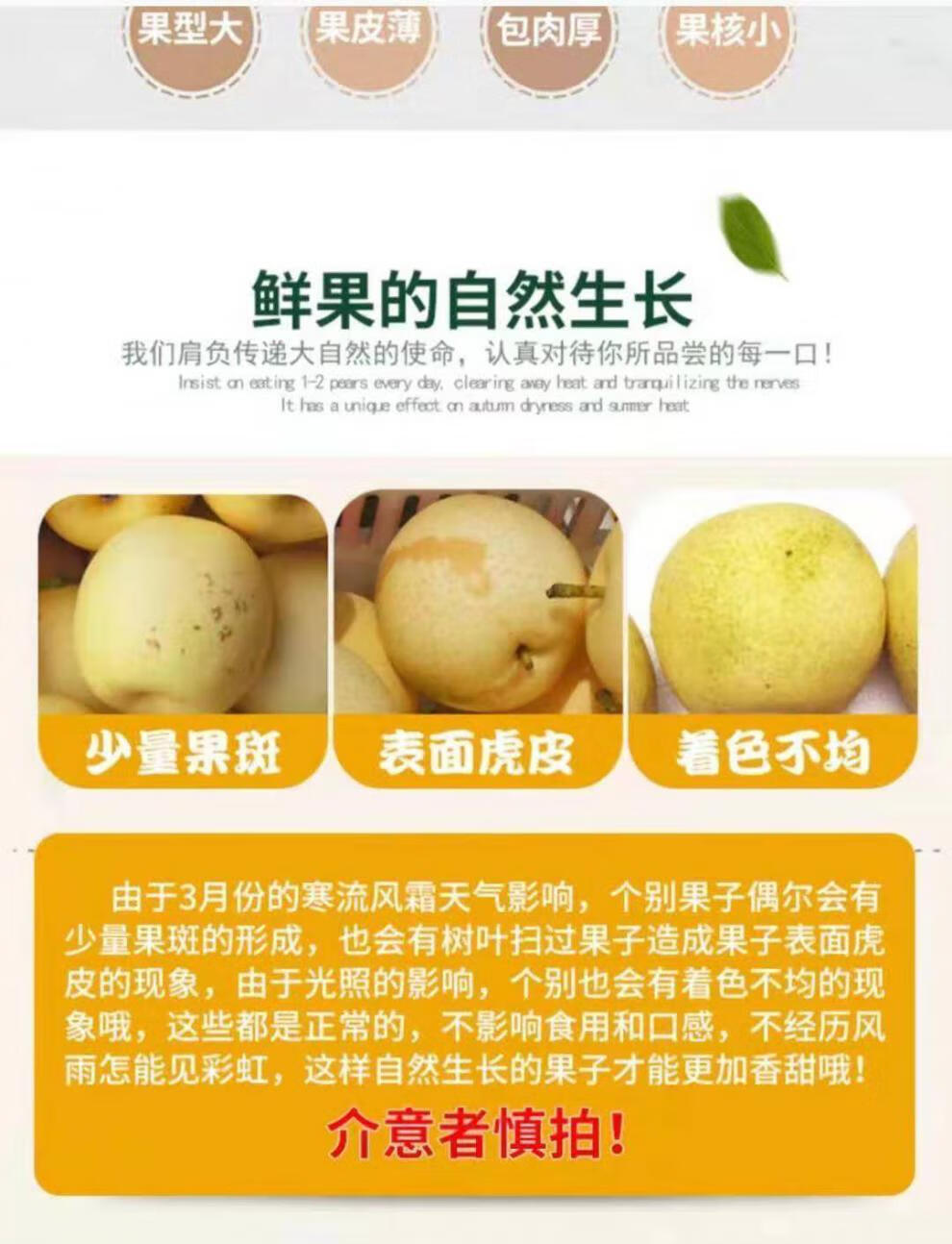 梨河北皇冠应季水果梨子水果装梨雪梨砀山梨 实惠5斤中大果【图片