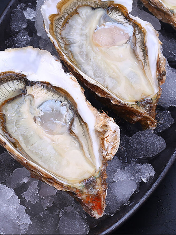顺丰生蚝鲜活带壳牡蛎生鲜海鲜野生生蚝 l号3斤装(约21-26个)【图片