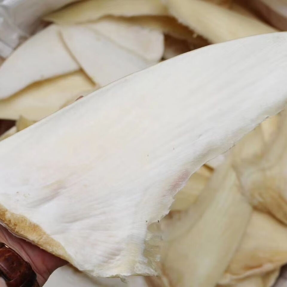 北京同仁堂原料干货鱼翅乌羊骨翅鱼翅8-14寸热门鱼翅美食足干家用餐饮
