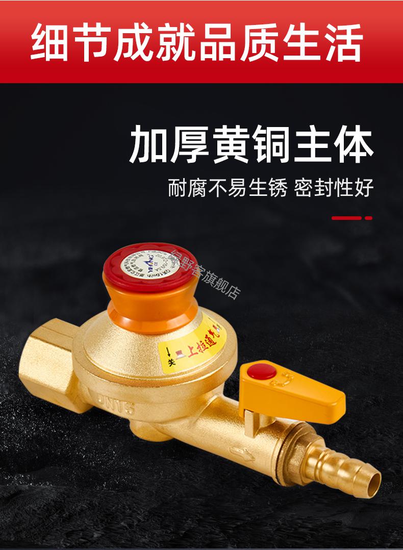 燃气灶安全自闭阀家用天然气燃气管道自闭阀泄漏超压欠压自动断气燃气