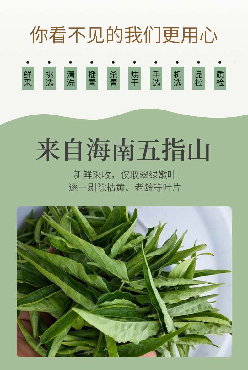 黎青茶 鳄嘴花茶 海南五指山忧遁草茶优盾草梨藜离清黎王草扭序花