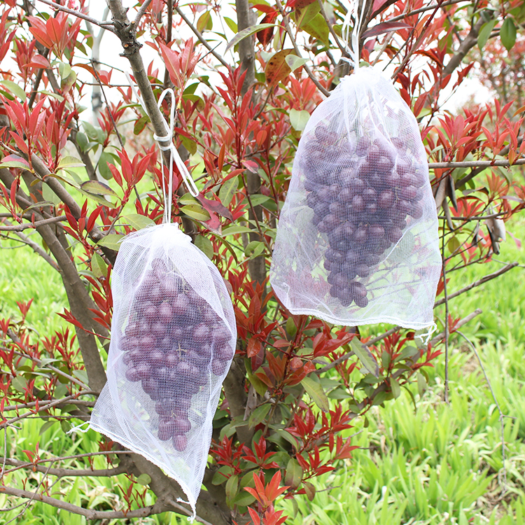 水果葡萄套袋防虫防鸟白色纱网袋子透气防果蝇套树苗枇杷果树网袋