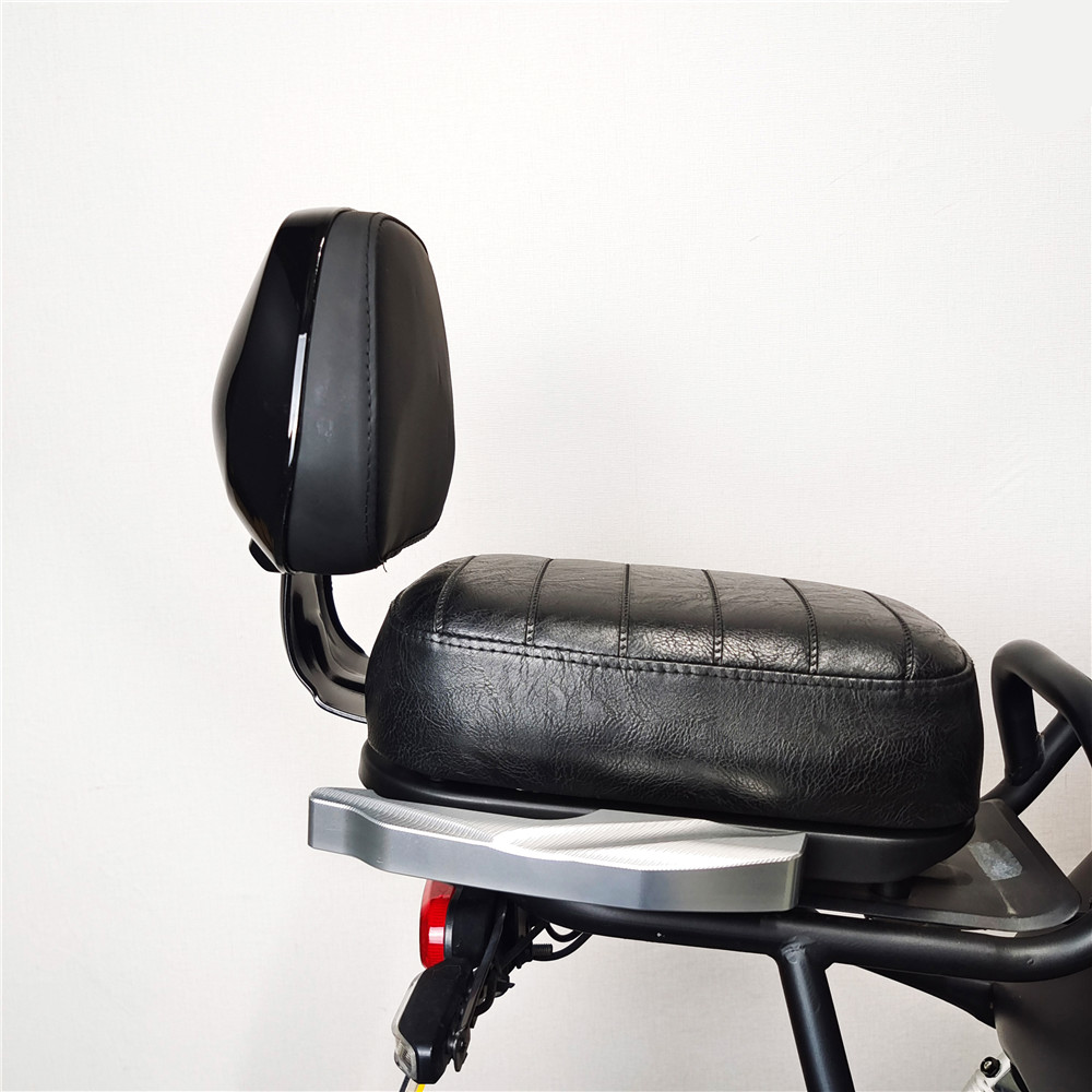 9号f60电动车配件改装件f90后座靠背f系列电车 托盘【通用】【图片