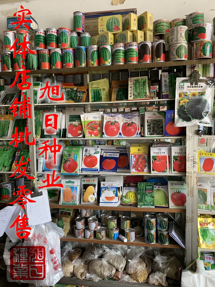 津春5号4号黄瓜种子津优1号10号春秋四季夏季耐热蔬菜种子津春5号原装