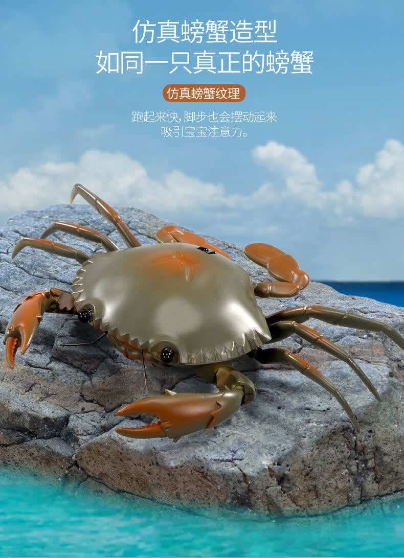 螃蟹电动物大闸蟹模型送男孩的礼物新奇玩具儿童整蛊仿真 军绿色螃蟹