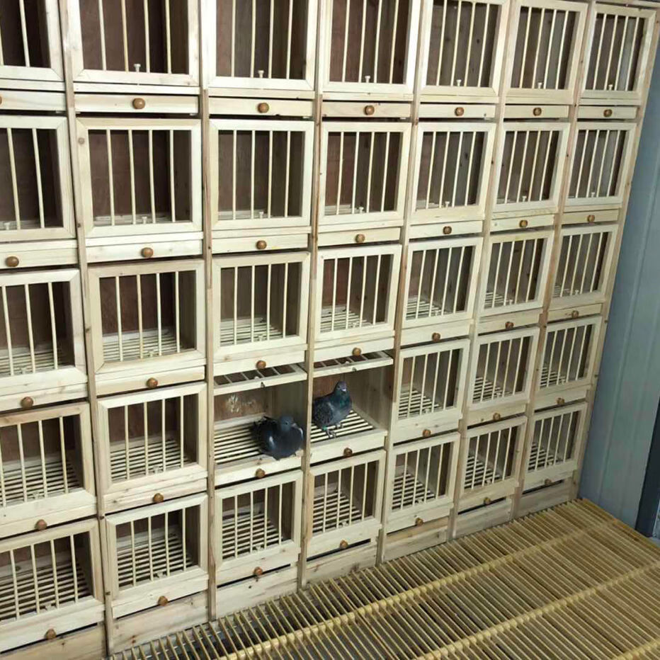 赛鸽种鸽巢箱 配对笼 阳台鸽舍 实木鸽笼 组合巢箱 多层 调节巢箱 带