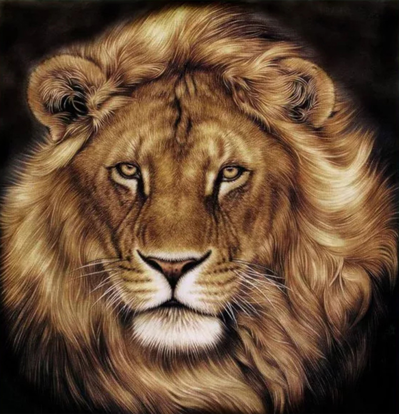 烙画机烙画工具葫芦木板烫画机烙花电烙铁电烫花烫烙印火绘笔 赠品