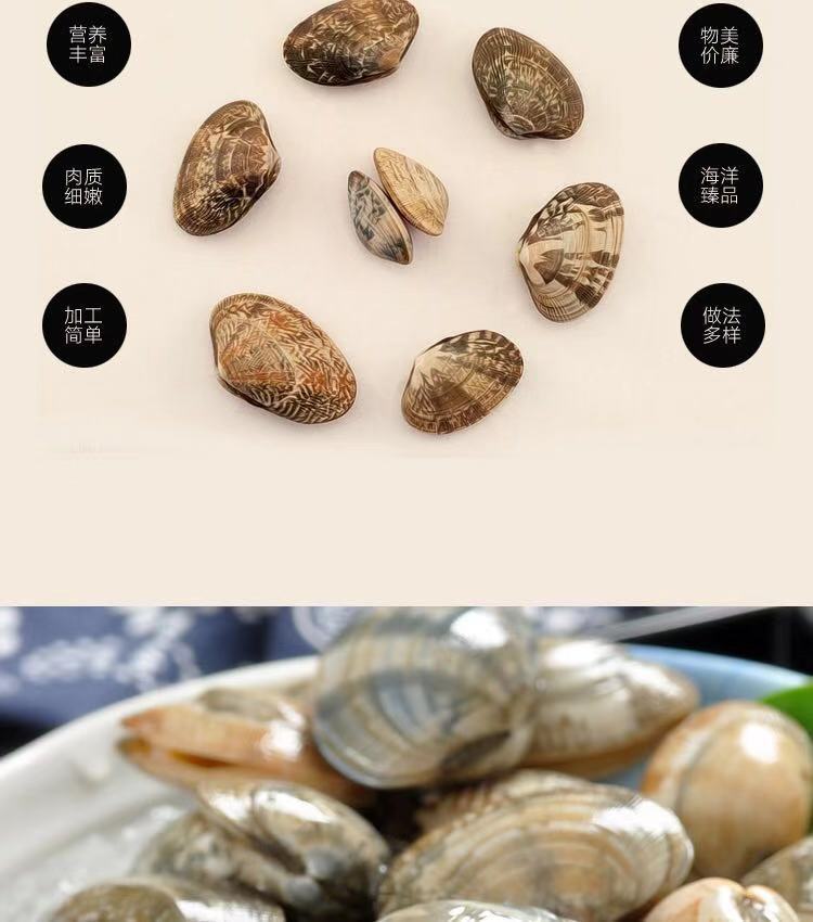 花甲鲜活新鲜无沙大花甲花蚬子海鲜水产 5斤超值装【图片 价格 品牌