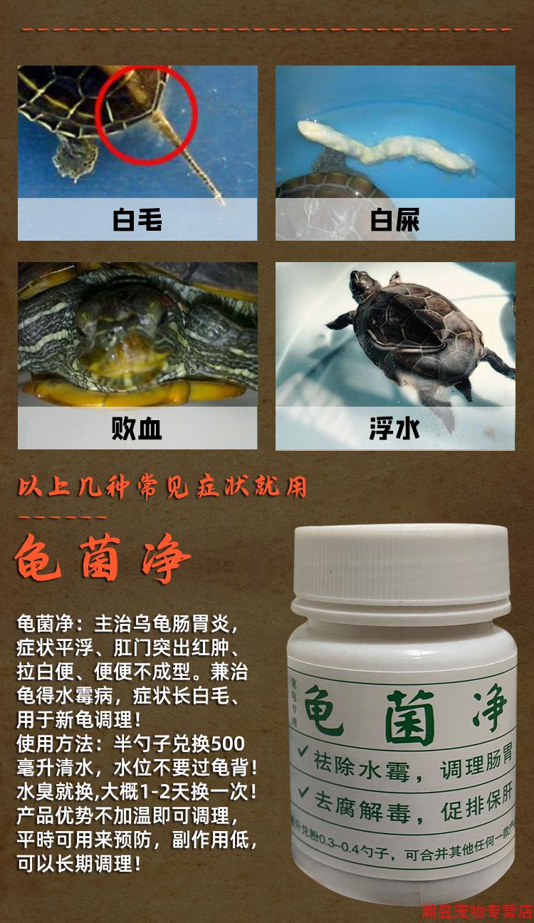 乌龟腐皮烂甲白眼病拉白便真菌巴西龟专治肺炎浮水肠炎乌龟药 腐皮清