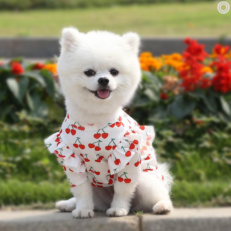 狗狗打底衫家居服外套猫咪小中型犬泰迪比熊法斗宠物衣服用品春秋樱桃