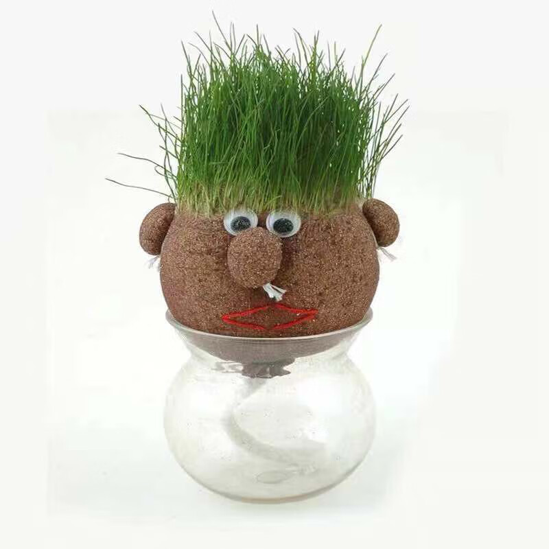 黎秋科 创意盆栽长草娃娃浇水长草的植物娃娃办公室绿植头上长草盆栽