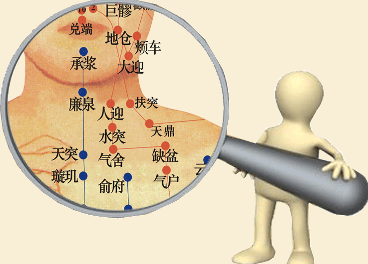 唯利多新款穴位图人体经络穴位图中医养生美容院诊所装饰画针灸艾灸