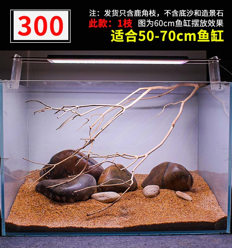 a362f773ce44efa2.jpg