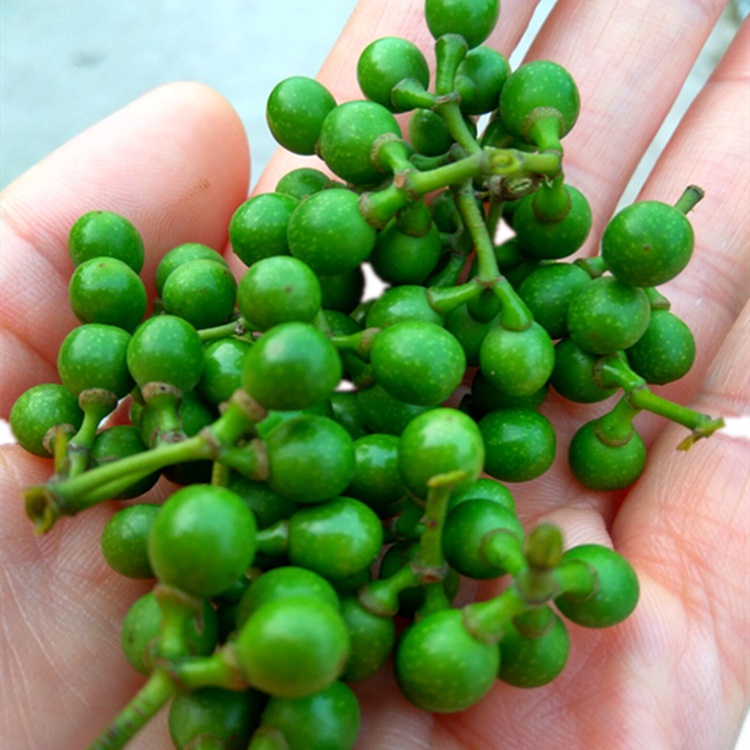 山胡椒酱四川特产木姜子山苍子酱实拍农家风味调味品500g达州 500g