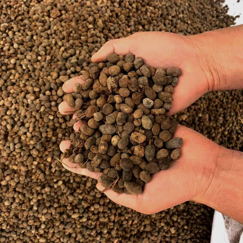 花肥羊粪肥料有机肥发酵纯羊粪羊粪蛋风干羊粪蔬菜瓜果兰花专用肥 28