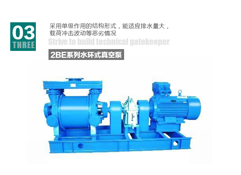 雷澎2bea系列水环式真空泵 2bea202液环式真空泵 水环式真空泵 2bea