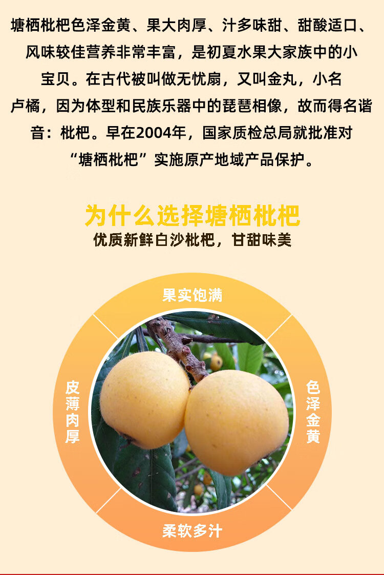 晨臻【特大果70枚礼盒装】杭州特产塘栖白玉枇杷 白沙枇杷 新鲜孕妇