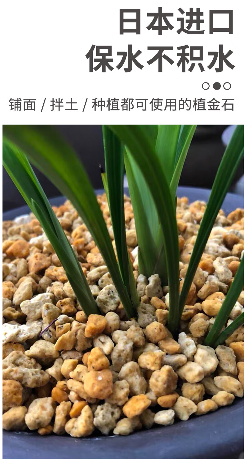 植金石日本进口兰花专用透气土植料多肉拌土铺面石萨摩土颗粒整包 植