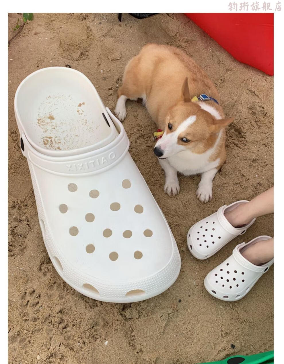 巨型拖鞋超大拖鞋网红巨型大拖鞋狗窝猫窝超大洞洞鞋ins个性拍摄视频