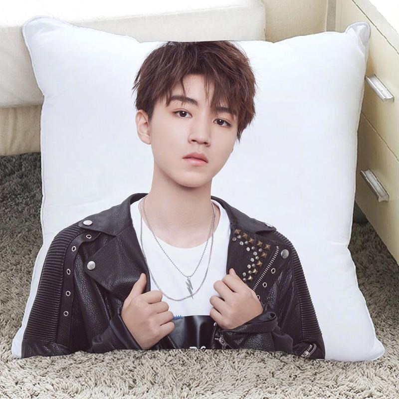 重生之门周边tfboys王俊凯周边抱枕重生之门朋友礼物学校午睡枕女生