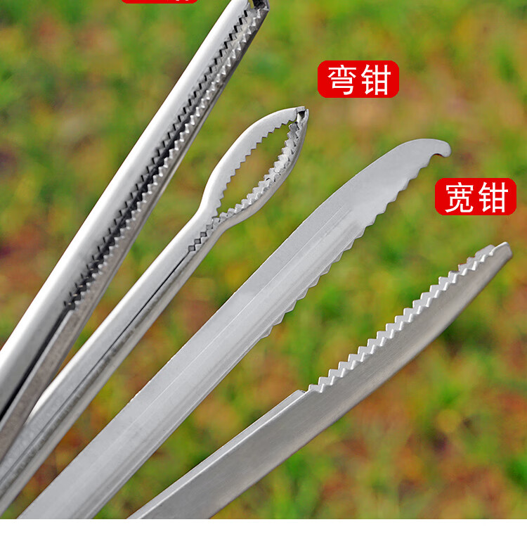 赶海工具多功能鳝鱼夹黄鳝夹子泥鳅螃蟹钳子防侧滑赶海神器防脱煤炭夹