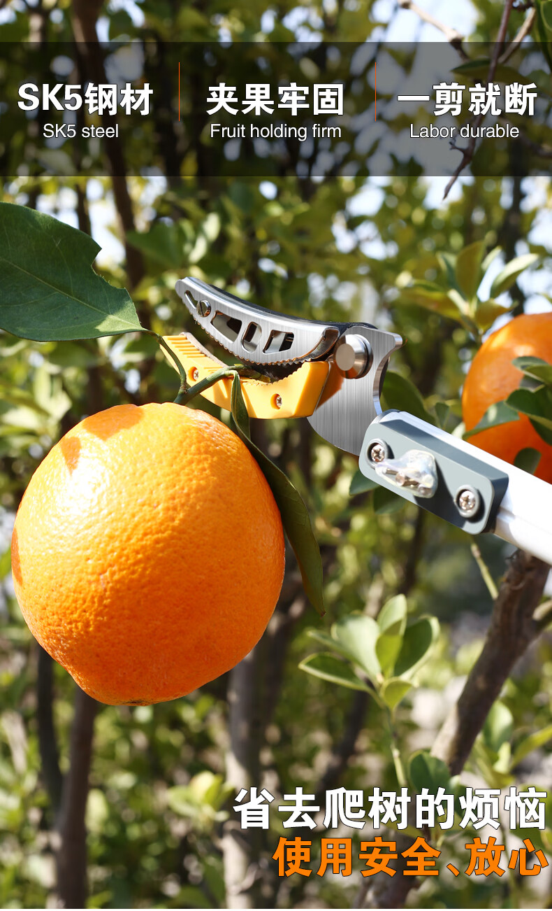 德国银龙岛摘果剪高枝剪伸缩加长果树剪树枝摘果剪刀锯高空采果水果摘