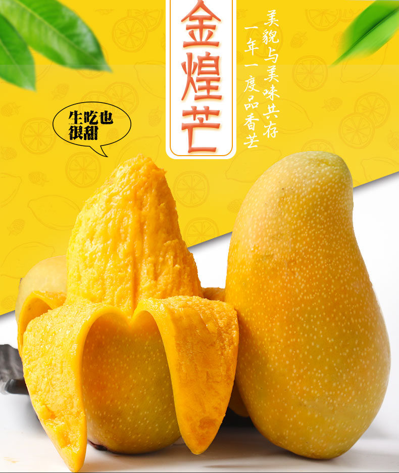 金煌芒果水仙芒水果新鲜当季3510斤装批发甜心芒高乐