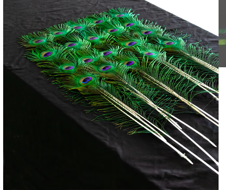 孔雀尾羽 真孔雀孔雀羽毛翎尾大眼diy摆件装饰花瓶专用孔雀羽毛 130