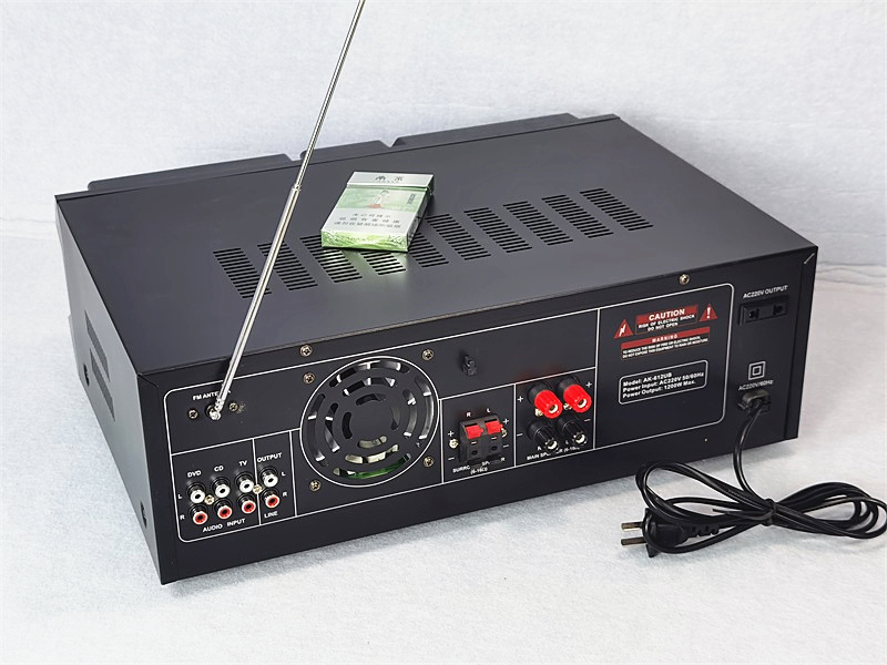 大功率蓝牙功放机k歌u盘收音机双话筒接口立体声输入左右独立频率 无