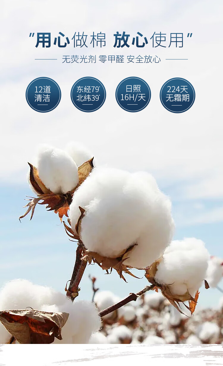新疆棉花天然散装去籽皮棉棉被被子被芯褥子棉胎棉絮填充物 2021新棉
