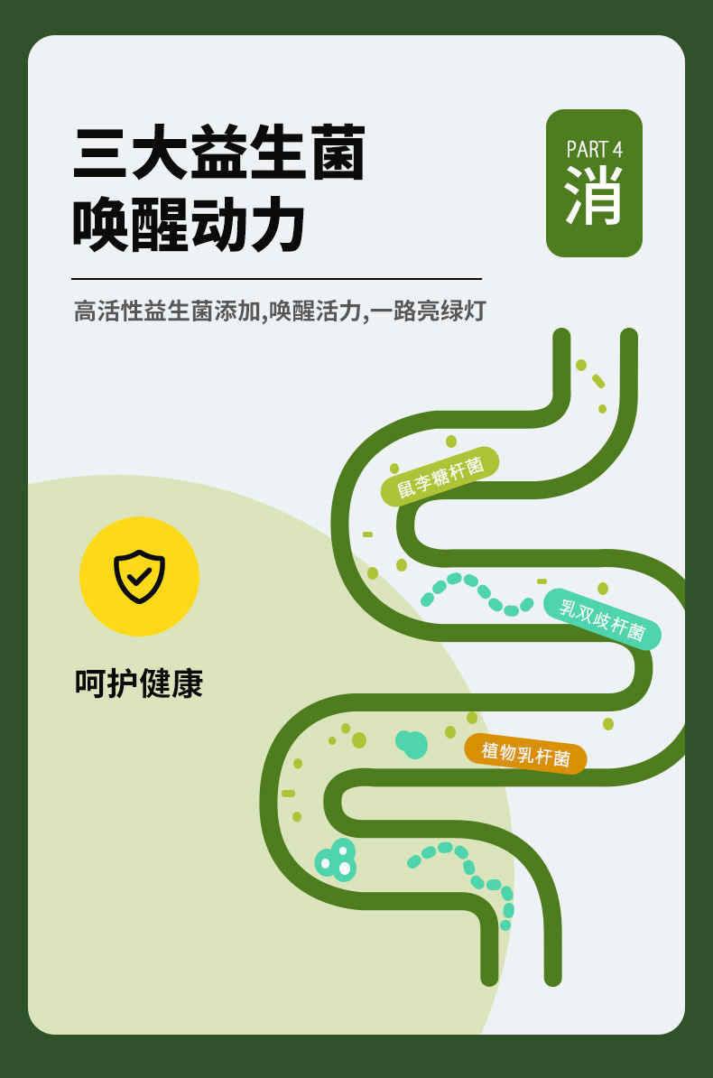 白芸豆益生菌咀嚼片60粒/瓶可搭(阻断碳水控油控糖)酵素 金源力 5瓶装