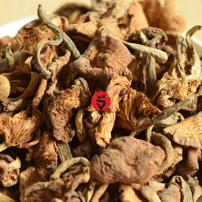 榛蘑东北干货500g小鸡炖蘑菇长白山土特产无根货一斤真蘑棒500g